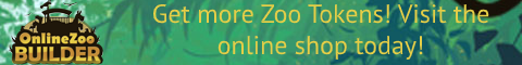 Online Shop